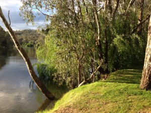 murray_river